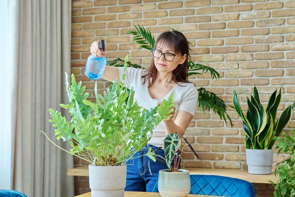 Mature Woman Spraying Indoor Plants Home Using Spray Bottle Clean — Stock Photo, Image