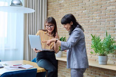 Modern ofiste konuşan iki olgun iş kadını. 40 'lı yaşlarda, bilgisayar ekranına bakan, gülen, iletişim kuran kadın bir iş arkadaşı. İşletme CEO 'su hukuk finans, danışmanlık takım çalışması