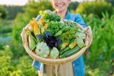 Çiftlikteki sebze bahçesindeki kadının ellerinde yeşil sebzeler ve otlarla yakın çekim sepeti. Yaz hasadı, doğal organik ekolojik diyet vejetaryen vitamin yiyeceği, beslenme, çiftçi pazarı.