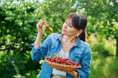 Güneşli yaz bahçesinde kırmızı kiraz hasadıyla mutlu bir kadın. Hasat, tarım, bahçıvanlık, çiftçi pazarı, sağlıklı doğal vitamin organik eko meyveler, gıda besin konsepti