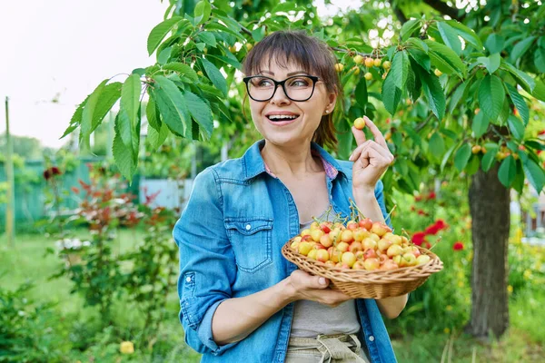 Smiling woman with basket of fresh yellow cherries near cherry tree enjoying ripe delicious fruits in summer garden, harvesting, farmers market, healthy vitamin organic eco fruits