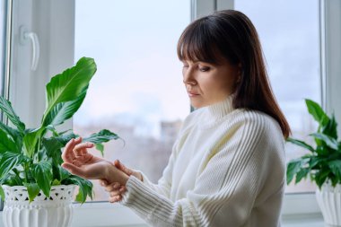 Orta yaşlı bir kadın el bileği eklem ağrısı çekiyor. Olgun yaş, sağlık hizmeti kavramı