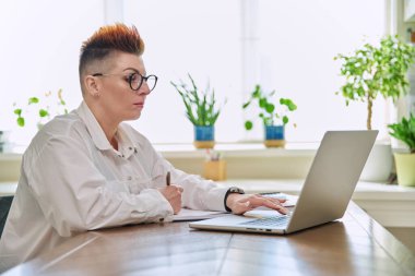 Merkez ofisteki bilgisayar bilgisayarında çalışan orta yaşlı ciddi bir kadın. Olgun bir kadın masada oturmuş monitöre bakarak yazı yazıyor. Uzak iş, öğretim, iş, blog, serbest konsept