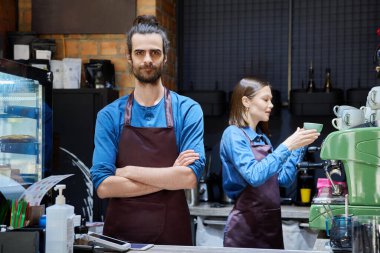 Portrait of young confident handsome male barista in apron looking at camera behind bar counter in coffee shop. Work, food service, startup, serving staff employee, entrepreneurship, small business