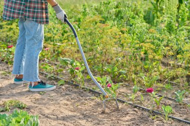Ot kontrolü, toprak gevşemesi, sebze yataklarında tarım için bahçe yapımı metal aletler. Hızlı ve kaliteli bahçe bakımı için hafif, ergonomik çift çelik çapa