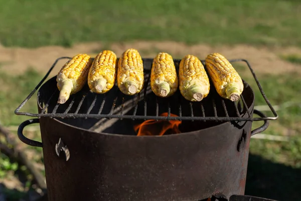Boiled Corn Cobs Barbecue Grill — Stock Photo, Image