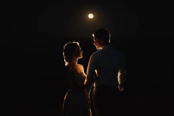 Měsíční Svit Zvýrazňuje Siluety Nevěsty Ženicha Horách — Stock fotografie