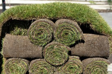 Yakın planda çimenli bir çimen serilmeye hazır, paletin üzerinde yuvarlanmış bir çimen.