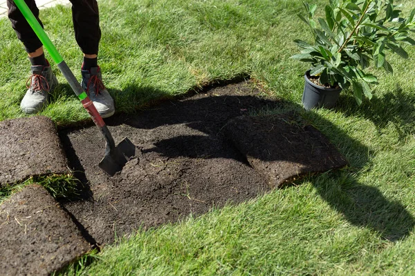 stock image A uniformed worker digs a hole with a shovel to plant an ornamental tree or bush