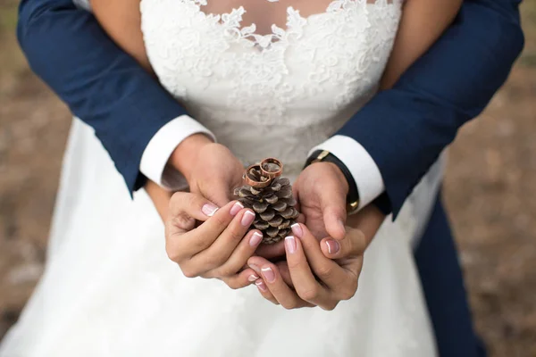 Noivo Abraça Noiva Uma Floresta Pinheiro Mãos Que Mantêm Pedaço — Fotografia de Stock