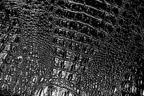 Fekete Bőr Krokodil Háttér Textúra — Stock Fotó