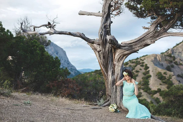 水の近くの山の中で自然の中で花嫁と新郎 花嫁は木の下に座っている — ストック写真
