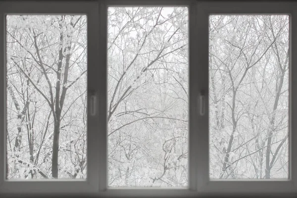 Window with winter view of snowy background