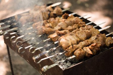 Biftek ve domuz barbeküsü, ızgarada biftek. Şişte kebap var. Doğa