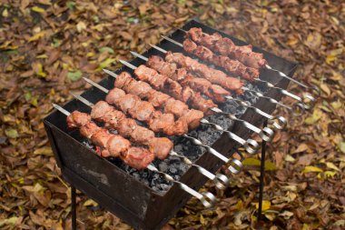 Izgarada ateşte kızartılmış et kebabı