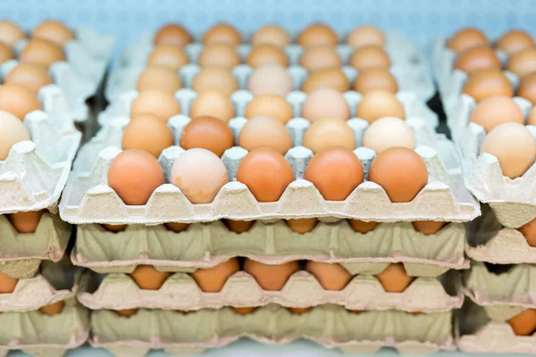 Variety brand of Eggs pack on shelves in a supermarket