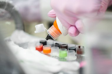 Dövme ustasının yakın çekimi dövme yapmadan önce çeşitli mürekkepleri özel kaplara döker. Modern bir dövmecide dövme için alet ve mürekkep hazırlama.