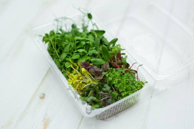 Çeşit çeşit, şeffaf plastik bir kutuda çeşitli mikro-yeşiller.