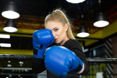 Mavi boks eldivenli genç ve güzel sporcu ringde poz veriyor ve kameraya bakıyor..