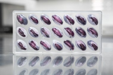 El yapımı kapsül çikolataları için karbon fiber kalıba yakın plan..