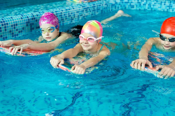 一组男孩和女孩在游泳池里和教练一起训练和学习游泳 儿童体育的发展 — 图库照片