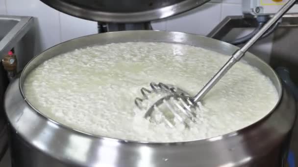 Kaas Maken Van Verse Melk Een Eigen Kaasfabriek Het Proces — Stockvideo