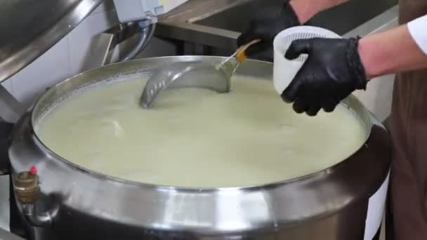 Özel Bir Peynir Fabrikasında Yumuşak Peynir Üretimi Için Kalıplar Dolduruyorum — Stok video