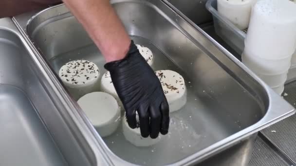 Yumuşak Peynir Üretimi Için Dolgu Kalıpları Peynirler Tuzlu Suya Batırılmış — Stok video