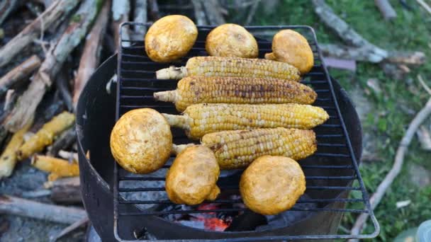 烧烤烤架上烧焦的玉米芯和蘑菇 — 图库视频影像