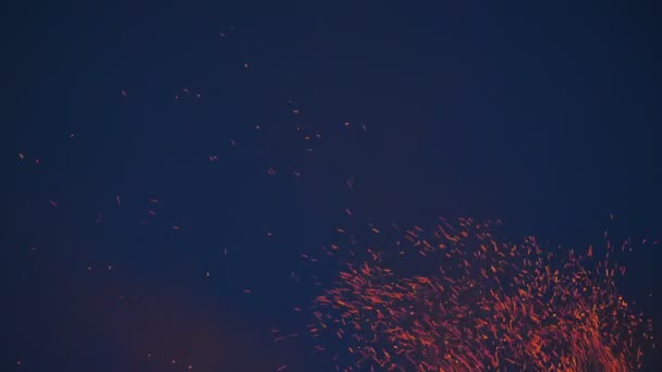 炽热的火花从夜空中的篝火中飞舞 发光的飞行粒子 — 图库视频影像