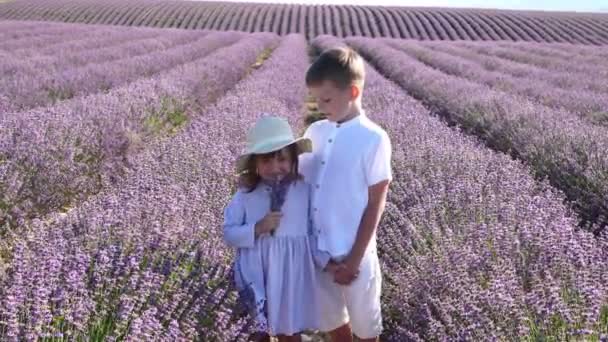 Boy Walks Lavender Field Girl Dress Hat Gives Her Flowers — Stock Video