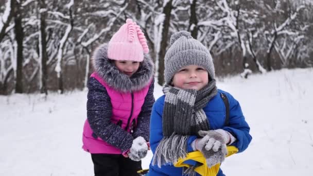 Αγόρι Και Κορίτσι Περπατούν Στο Χιόνι Ένα Χειμερινό Δάσος Ρίχνοντας — Αρχείο Βίντεο