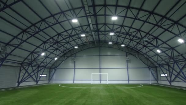 Stor Fotbollsplan Med Grindar Och Grönt Gräs Sportcenter Byggnad Hangar — Stockvideo