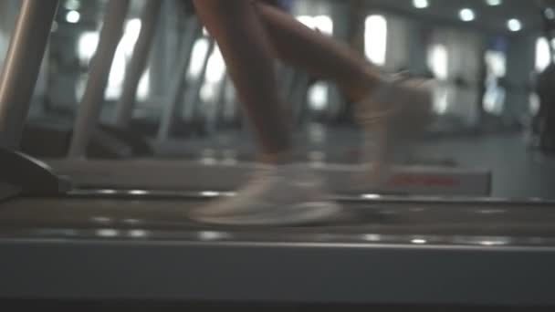 Woman Sneakers Runs Contemporary Treadmill Training Sports Gym Close Side — Video