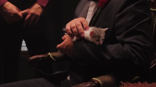 Actor Wearing Black Suit Rose Pocket Strokes Small Kitten Backstage — Vídeo de stock