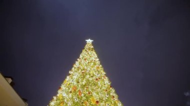 Bright garlands on Christmas tree illuminate square crowded with tourists. People enjoy examining decorated Christmas tree on square