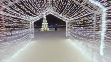 Decorated snow park with Christmas tree and skating rink filled with excited people. Snowy park evoking Christmas holiday spirit