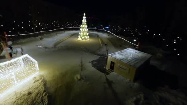 스노이 링크는 장난감 화환으로 장식된 크리스마스 주변에서 즐거운 사람들 스케이트를 — 비디오