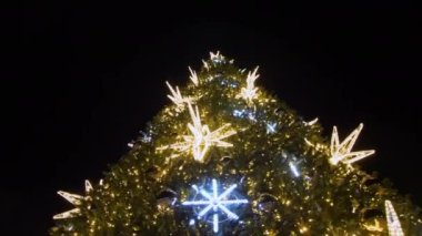 Christmas tree decorated with bright garlands and shining toys in night park. Preparation of Christmas tree for New Year Eve in park