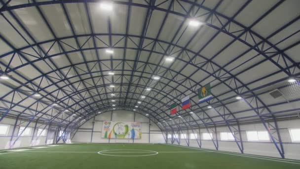 Duże Boisko Piłki Nożnej Sztuczną Zieloną Trawą Jasno Oświetlonym Hangarze — Wideo stockowe