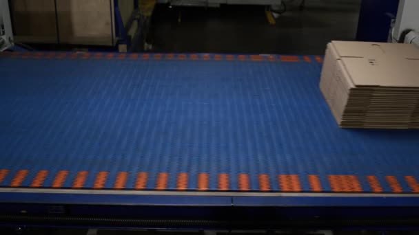 Sabuk Konveyor Biru Mengangkut Kotak Kardus Lipat Bengkel Pabrik Manufaktur — Stok Video