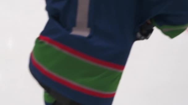 Kalabalık Buz Arenasında Profesyonel Hokey Şampiyonası Sezonu Buz Hokeyi Sahasındaki — Stok video