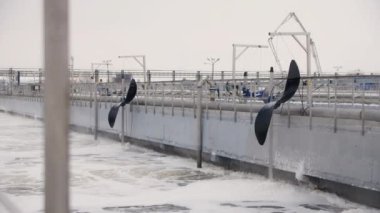 Sanayi tesisleri için teknik köprüsü olan atık su arıtma göletleri. Atölyedeki maya üretiminden kaynaklanan atık suyun tedavisi