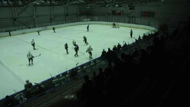 Fãs Assistindo Jogadores Hóquei Tribunos Durante Campeonato Nacional Arena Gelo — Vídeo de Stock