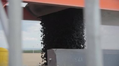 Üretim fabrikasındaki konteynıra sıcak asfalt beton dökülüyor. İnşaat alanındaki kamyon römorkuna kaldırım taşı yüklendi.