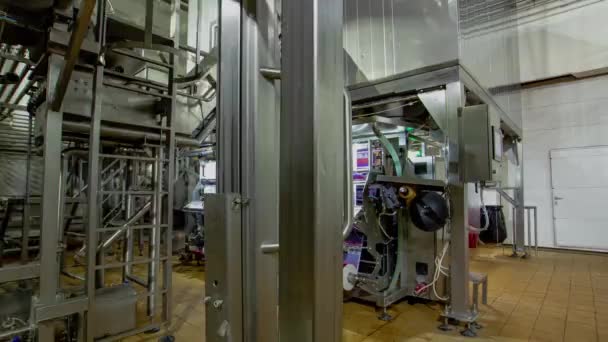 Personalen Reglerar Driften Produktionsutrustning Massiv Fabrik Anställda Korrekt Produkt Tillverkningsprocess — Stockvideo