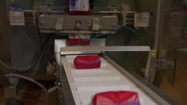 研修会の自動コンベヤベルトによって運ばれる化学肥料のパック 近代的な生化学工場の完成品 — ストック動画
