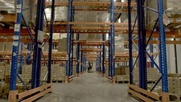 アルゼンチン カザフスタン October 2023 労働者は工業団地の倉庫を通じて自走式貨物トロリーを運転する マンは倉庫で重い商品を持ち上げるためにフォークリフトを使用します — ストック動画