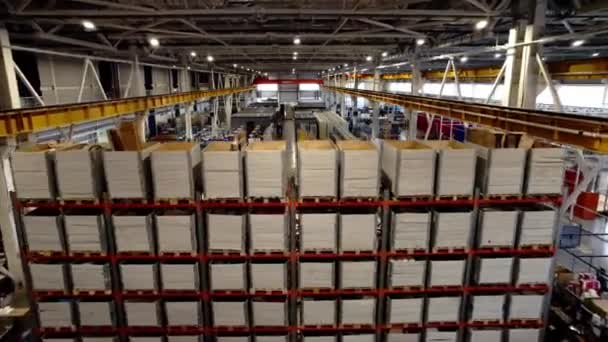 Skrzynie Regałach Rozległym Magazynie Przemysłowym Gotowe Pakowane Towary Przestronnym Magazynie — Wideo stockowe