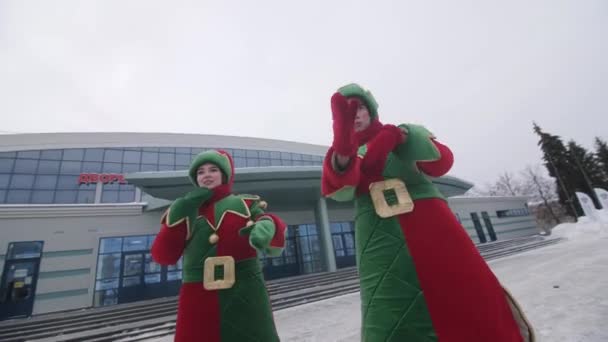阿尔梅 哈萨克斯坦 2023年9月27日 身着精灵服装的男女在冰场入口处跳舞 招待观众 冬天穿圣诞老人助理服装的人 — 图库视频影像